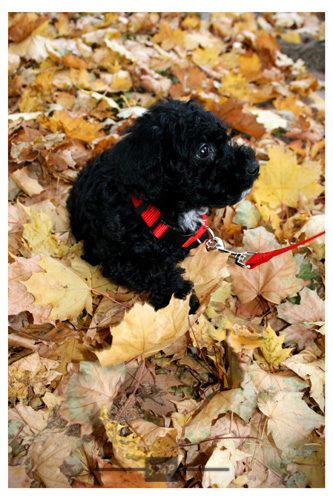 IMG_3123 shopped blog.jpg